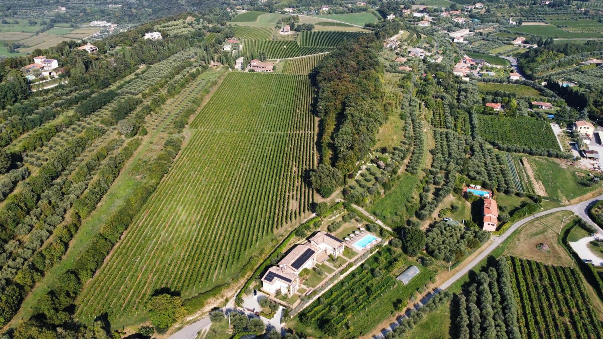 Casa Olivi Apartments Bardolino Bagian luar foto